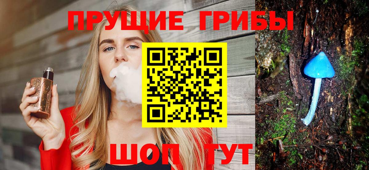 Галлюциногенные грибы GOLDEN TEACHER Бузулук