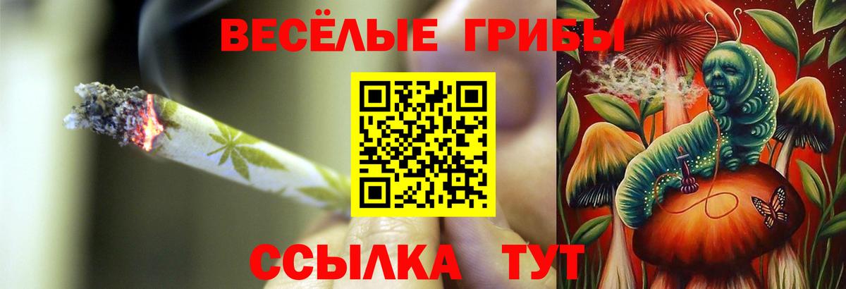 Галлюциногенные грибы Psilocybine cubensis  Вход с VPN  Галлюциногенные грибы мицелий  где купить наркотик  Бузулук 